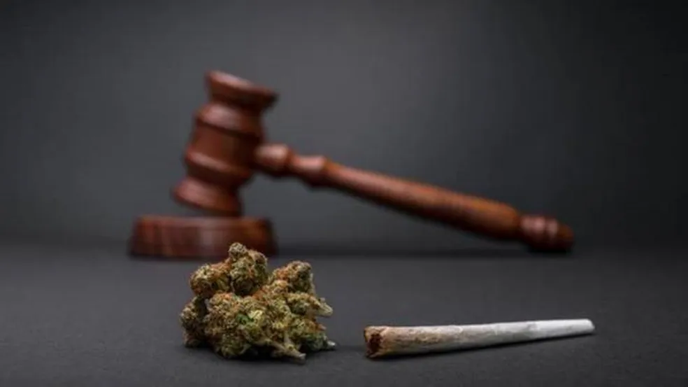 Legalização do Porte de Drogas. Qual a sua opinião?!