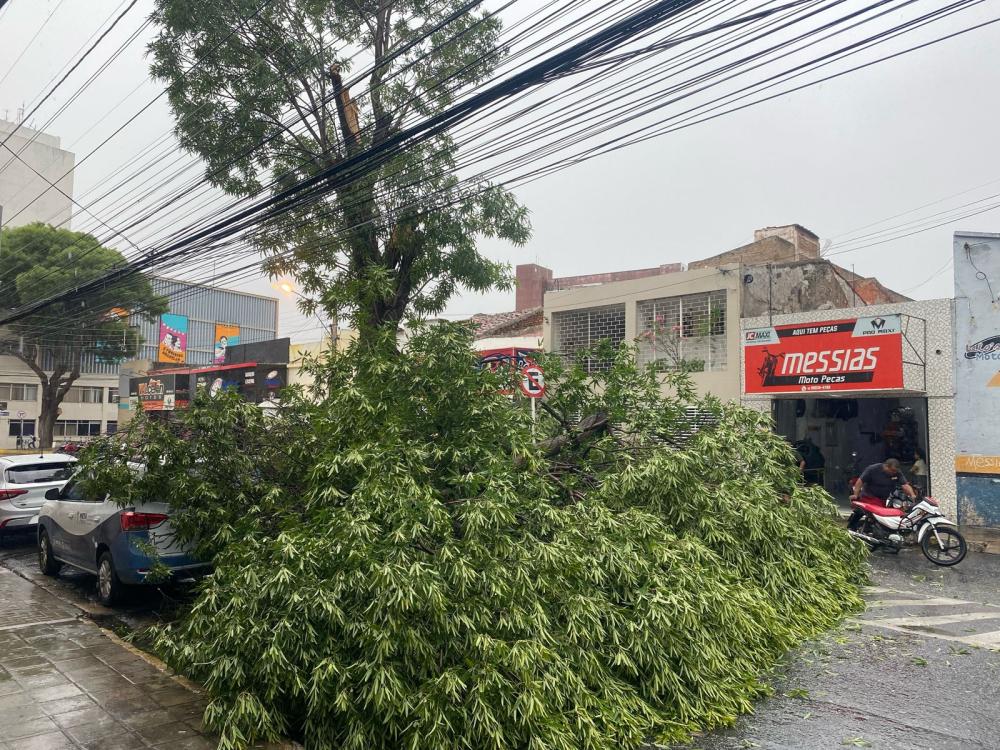 Chuva com ventos derruba árvores sobre carros e motos, e destrói cobertura de quadra de escola, em Patos