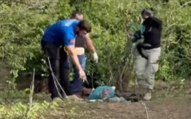 Idoso de 61 anos morre após ataques de abelhas na zona rural, na Paraíba