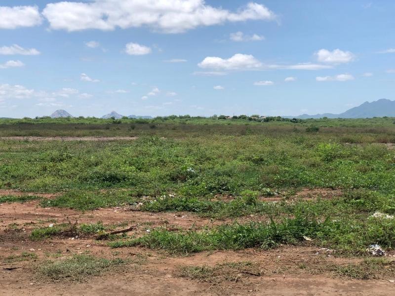 Área onde funcionava o “Lixão” de Patos está em total recuperação e vegetação começa a se estabelecer no local