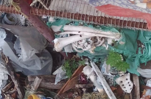 Polícia acha ossada de filho em casa de mãe morta há 10 anos, na PB