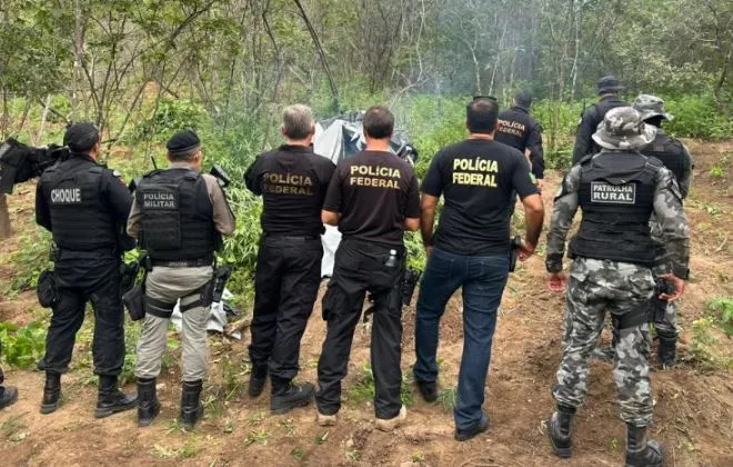 Policiais destroem plantio de maconha e prendem duas pessoas durante operação