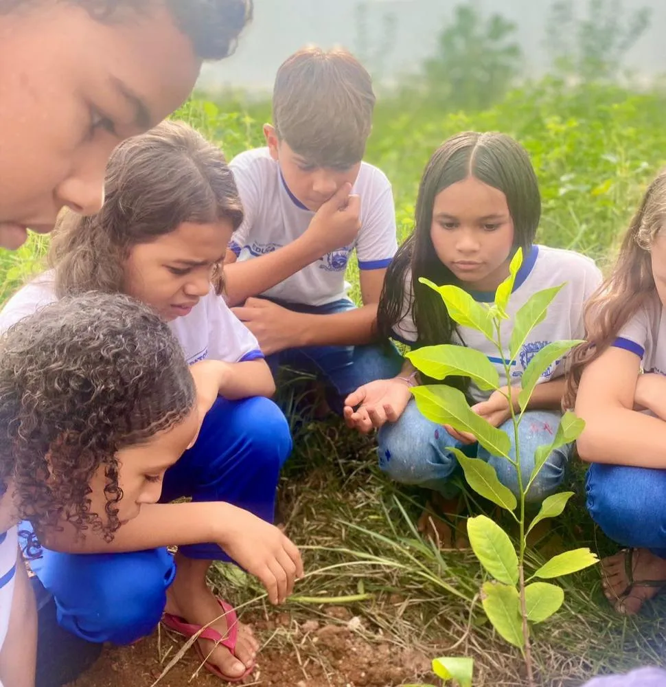 Dia Mundial do Meio Ambiente é celebrado com plantio de árvores e palestra nas escolas municipais de Patos