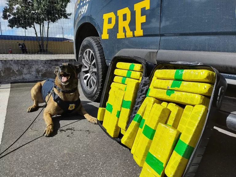 PRF prende homem que reside em Patos e apreende mais de 22 kg de maconha que estava sendo transportada em ônibus vindo de São Paulo (SP) veja 