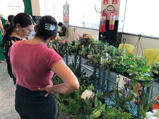 II Festival Flora & Arte incentiva a economia local e fomenta o trabalho de produtores de plantas ornamentais e artesanato, em Patos