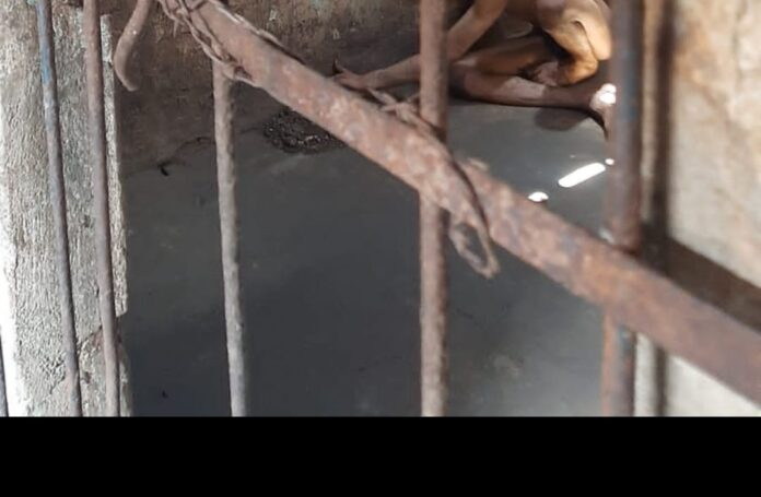 Três jovens são resgatados vítimas de maus tratos e cárcere privado na zona Rural de Cuité de Mamanguape