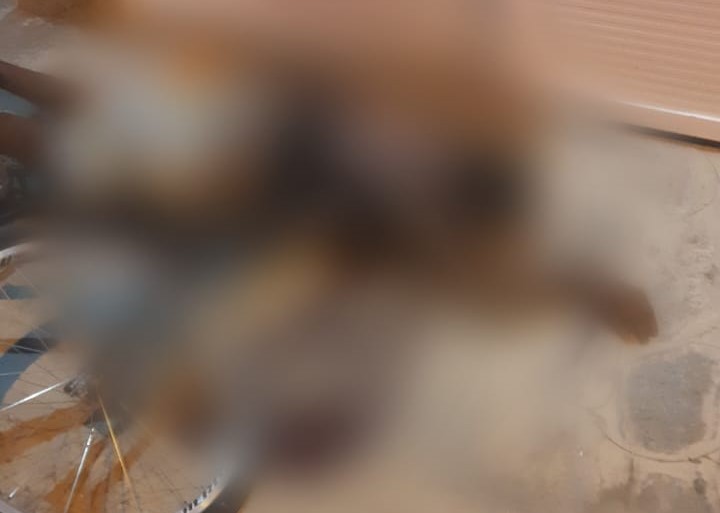 Homem é assassinado com cerca de 15 tiros enquanto pedalava em via pública
