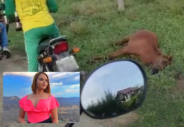 Jovem morre após colidir moto contra animal em rodovia de Piancó