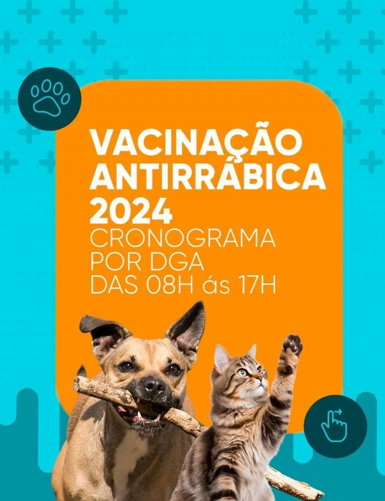 Vacinação Antirrábica 2024 em Patos-PB começa nesse sábado, 31 de Agosto: Confira o Cronograma e Locais