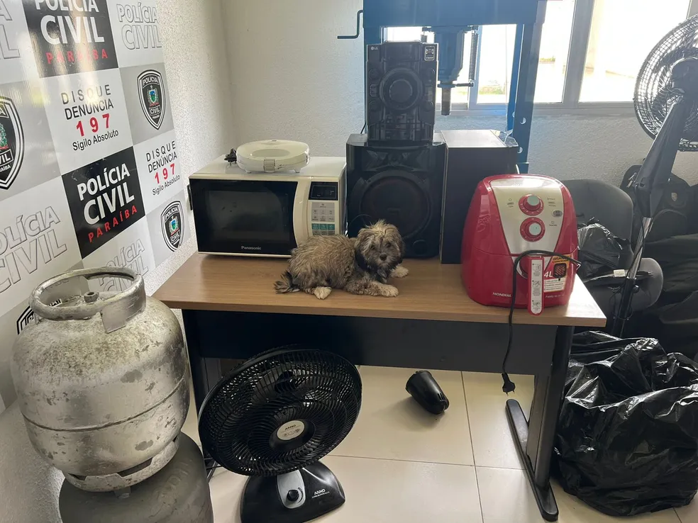 Cachorra roubada de família durante assalto em João Pessoa é encontrada
