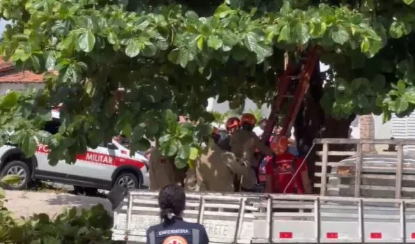 Jovem de 25 anos morre eletrocutado e fica preso em árvore em João Pessoa