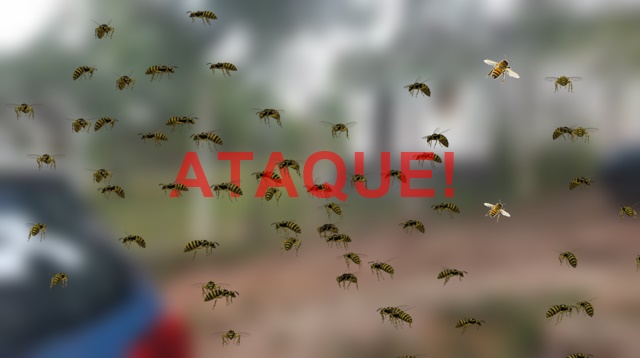 Morre agricultor atacado com mais de 2 mil picadas de abelhas na Paraíba