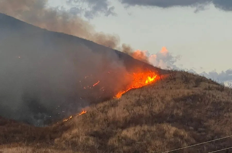 VÍDEO: Incêndio florestal ameaça Parque Nacional da Serra do Teixeira e preocupa moradores da região