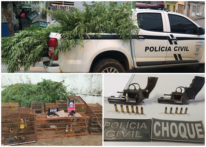 Vídeo: DHE e Policia Militar desencadeia operação em Teixeira, apreende drogas, armas e aves em cativeiro
