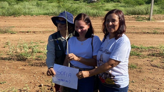 Projeto Árvores da Vida chega a mais de 100 árvores plantadas na Alça Sudeste, em Patos - 