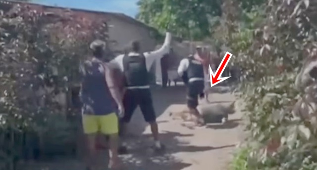 Vídeo: Mulher leva ‘rasteira’ em abordagem policial; PM diz que ela foi ‘contida’