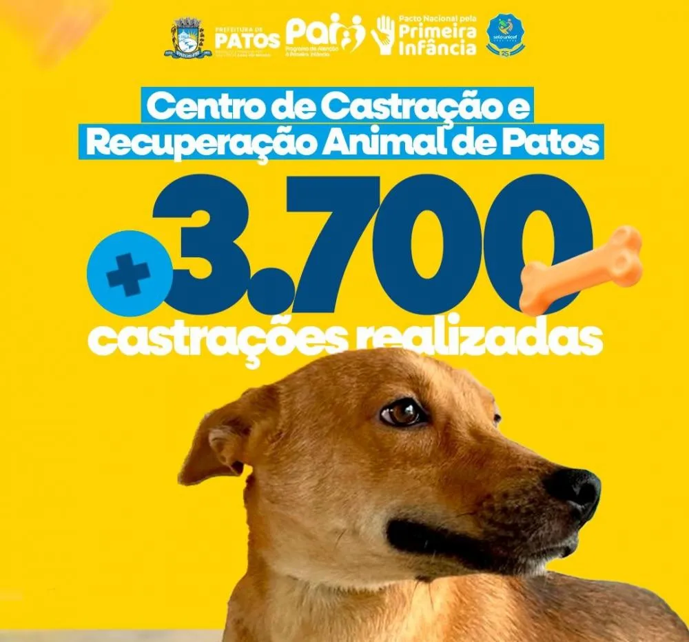 Prefeitura de Patos já castrou 3.700 cães e gatos e dobrará capacidade do serviço - ouça