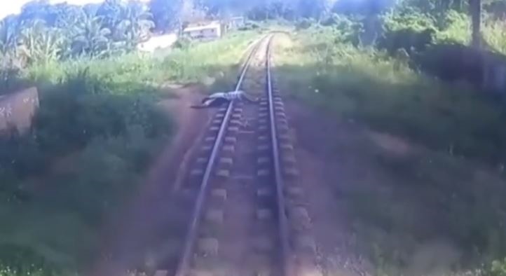 VÍDEO: Homem dorme sobre os trilhos e maquinista para o trem para acordá-lo, em Pernambuco