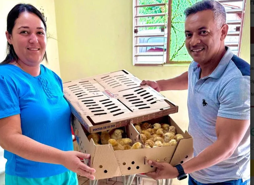 Secretaria de Agricultura entrega cerca de 250 pintos para incentivar a avicultura do município de Passagem