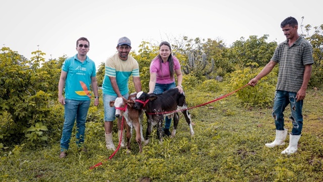 Produtores de Patos comemoram resultado do Programa Mais Pecuária Brasil com nascimento de bezerros