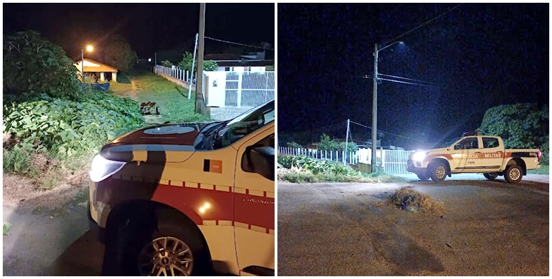 Caminhoneiro é vítima de roubo na PB 420