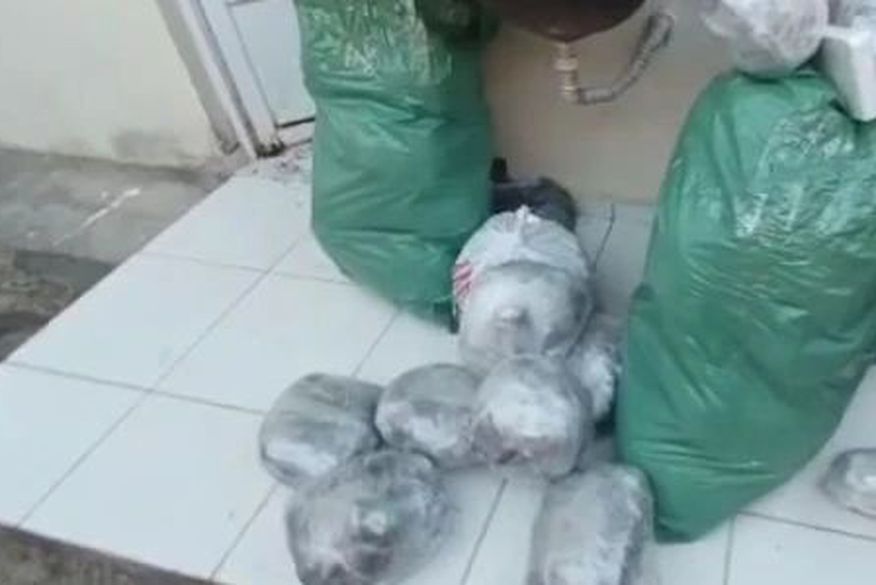 Polícia apreende quase 50kg de maconha em sacos plásticos dentro de casa em Campina Grande