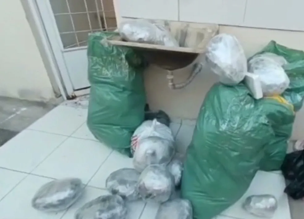 Polícia apreende cerca de 50kg de maconha em residência, na PB