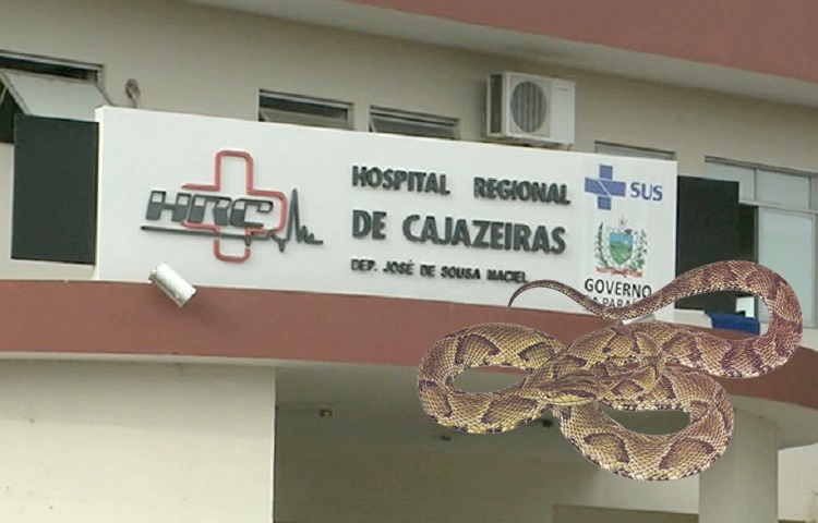 Mulher de 59 anos morre em decorrência de mordida de cobra, no alto sertão da PB