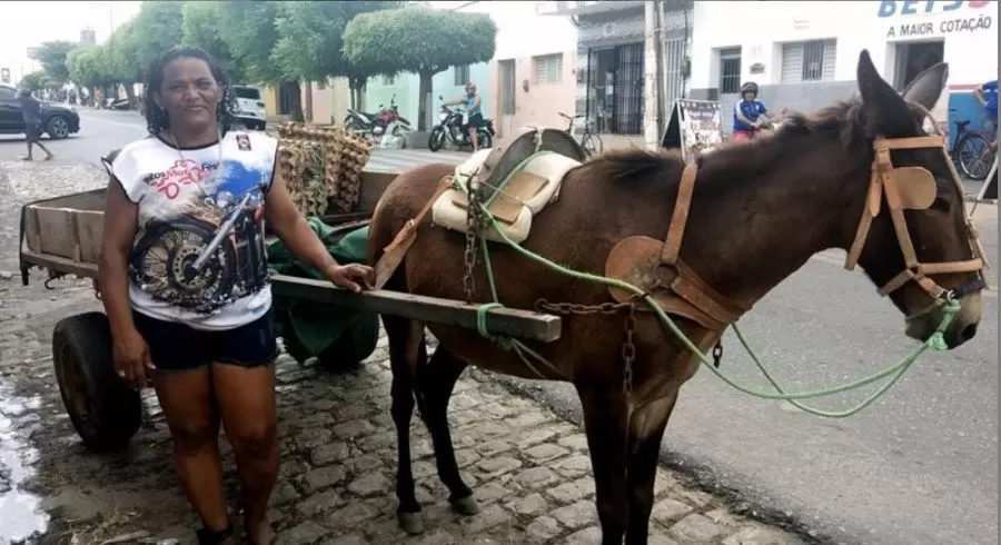 Animal usado por Maria da Carroça para trabalho é morto a tiros na cidade de Patos 