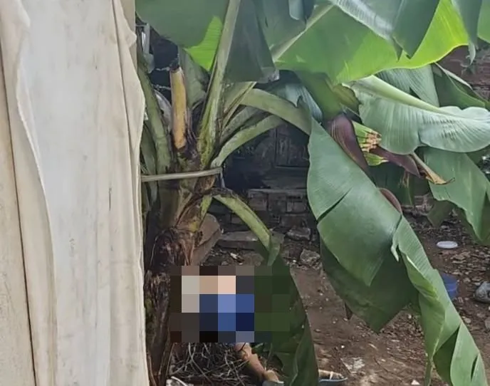 Jovem é assassinado dentro de casa com vários tiros na cabeça em Campina Grande
