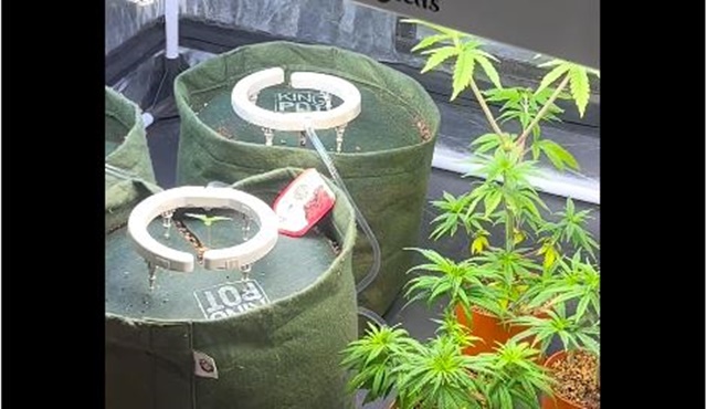 Vídeo: DRACO PRENDE TRÊS TRAFICANTES E APREENDE APROXIMADAMENTE 50kg DE MACONHA EM JOÃO PESSOA.