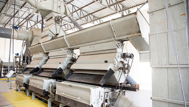Apoio do Governo da Paraíba garante aumento da produtividade de algodão orgânico na região de Ingá