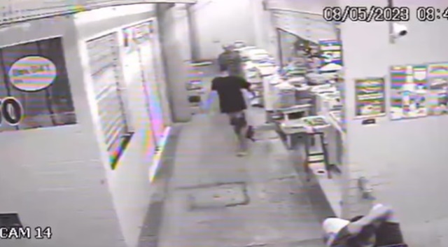 Homem é preso suspeito de chutar gato no Mercado da Torre – VEJA O VÍDEO
