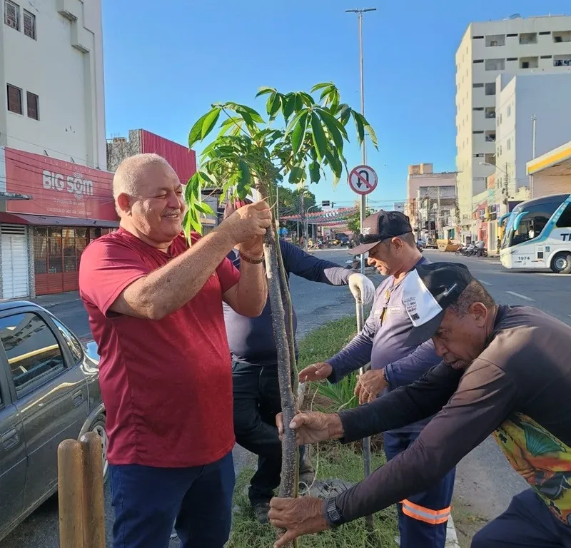 Natureza em Movimento: SEMADS transforma espaços urbanos com paisagismo e memória em Patos