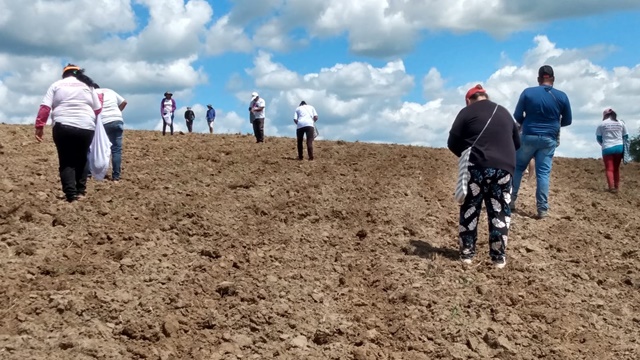 Famílias do Projeto Agrovila Águas de Acauã iniciam cultivo de roçado coletivo