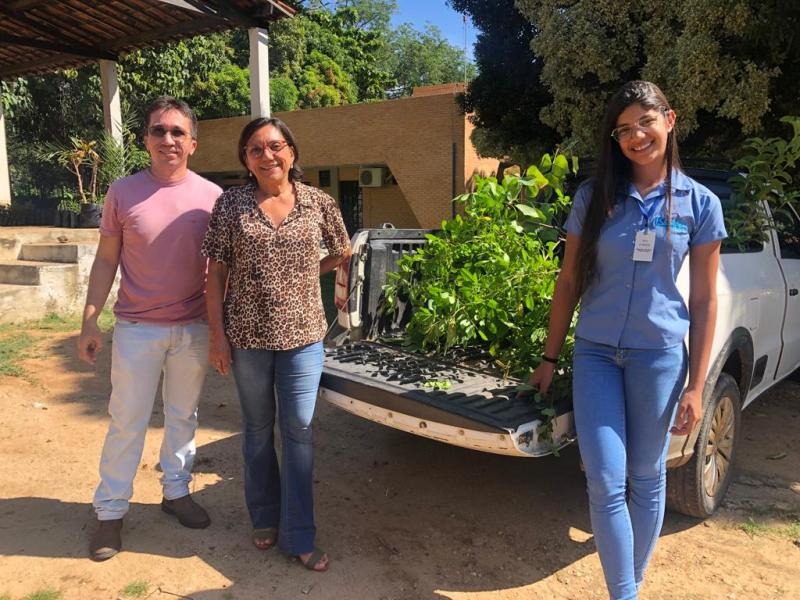 Secretaria de Agricultura de Patos e programa do curso de engenharia florestal da UFCG garantem doação de mudas