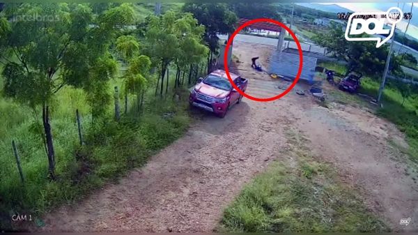 Vídeo mostra momento em que homem sofre descarga elétrica enquanto fazia serviço em chácara; Veja
