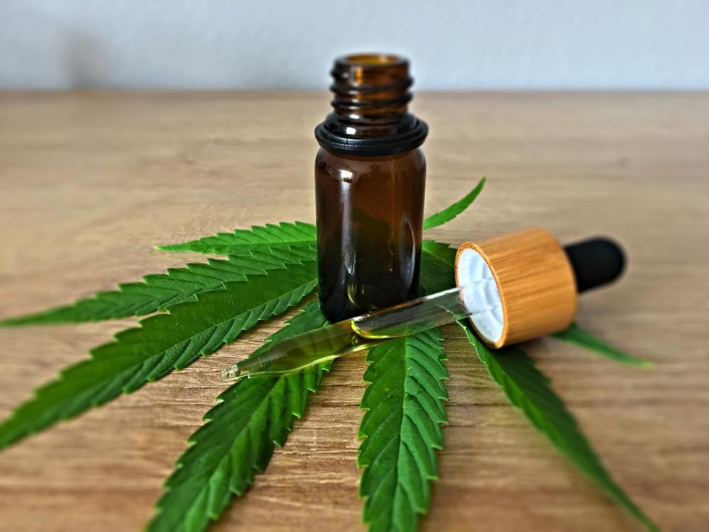 Como ter acesso à cannabis medicinal gratuita em Campina Grande