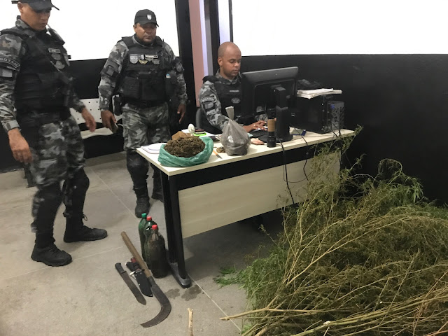POLÍCIA MILITAR PRENDE CASAL QUE REALIZAVA TRÁFICO DE DROGAS NA PORTA DE SUA RESIDÊNCIA, NO ALTO SERTÃO DA PB