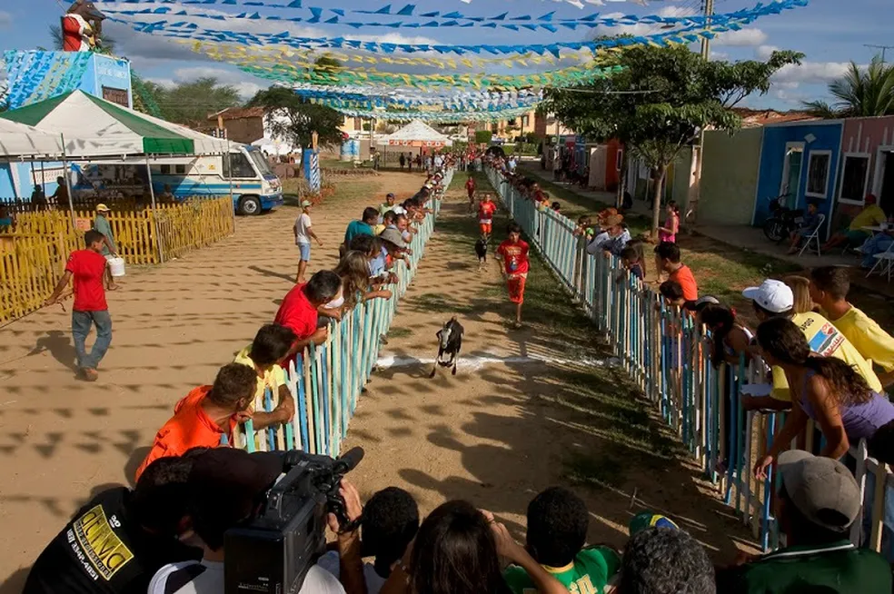 Festa do Bode Rei 2023 tem início nesta sexta-feira (2), em Cabaceiras, PB