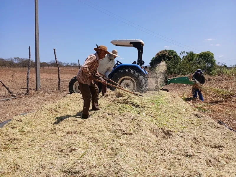 Patos intensifica produção de silagem em Conceição de Cima para garantir alimento ao rebanho durante a estiagem