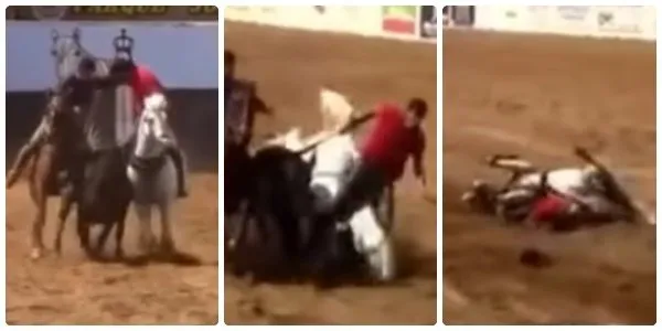 Cavalo morre e vaqueiro fica ferido em vaquejada em Cajazeirinhas. Vídeo