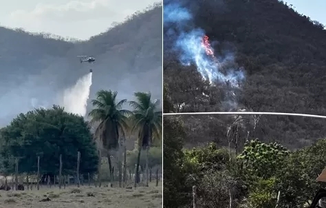 OUÇA: Bombeiros da Paraíba combatem incêndio na Serra do Cruzeiro por uma semana 