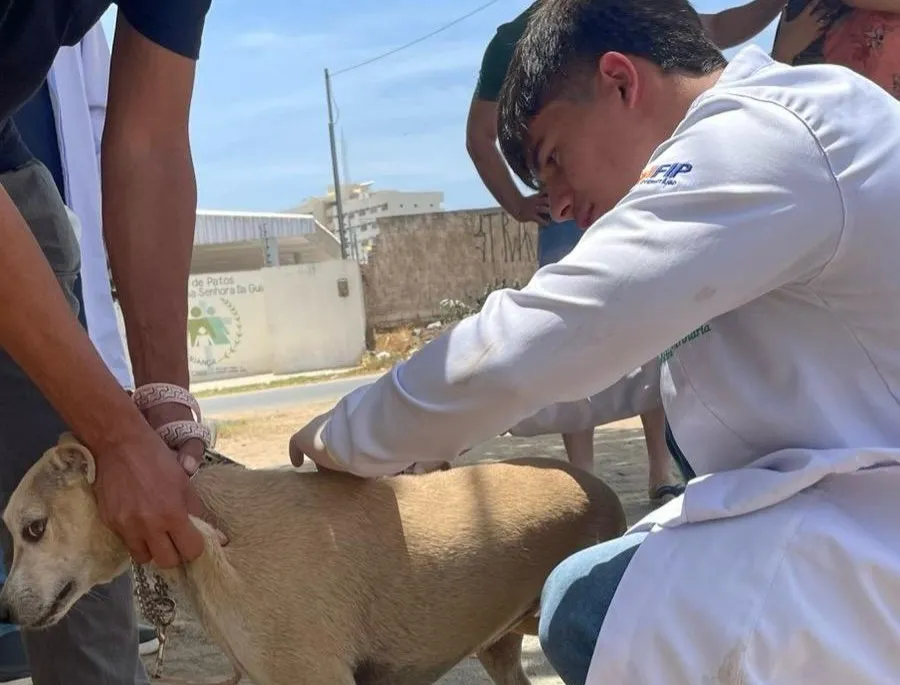 Campanha Antirrábica: Patos vacina mais de 2.500 cães e gatos e segue firme no combate à raiva