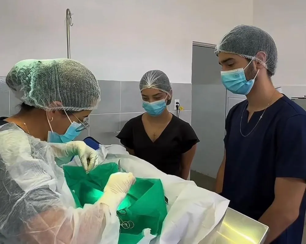 Mais de 5 mil castrações realizadas reforçam compromisso da Prefeitura de Patos com a causa animal