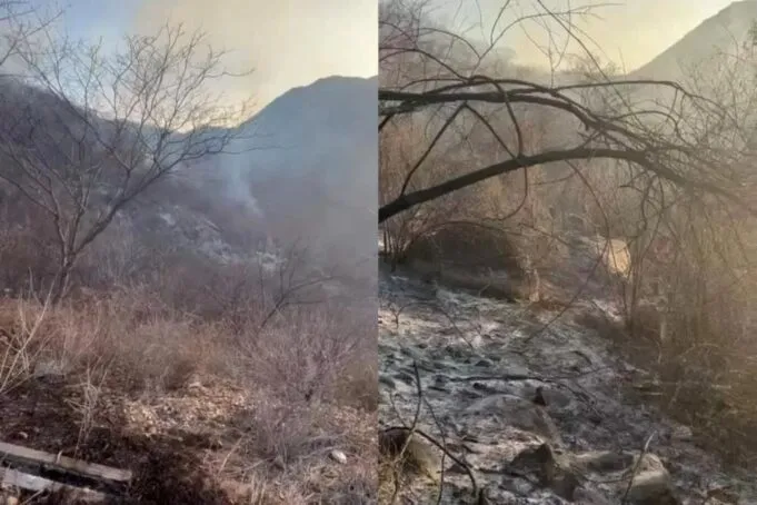 Fogo atinge área de vegetação no Parque Nacional da Serra do Teixeira. Video