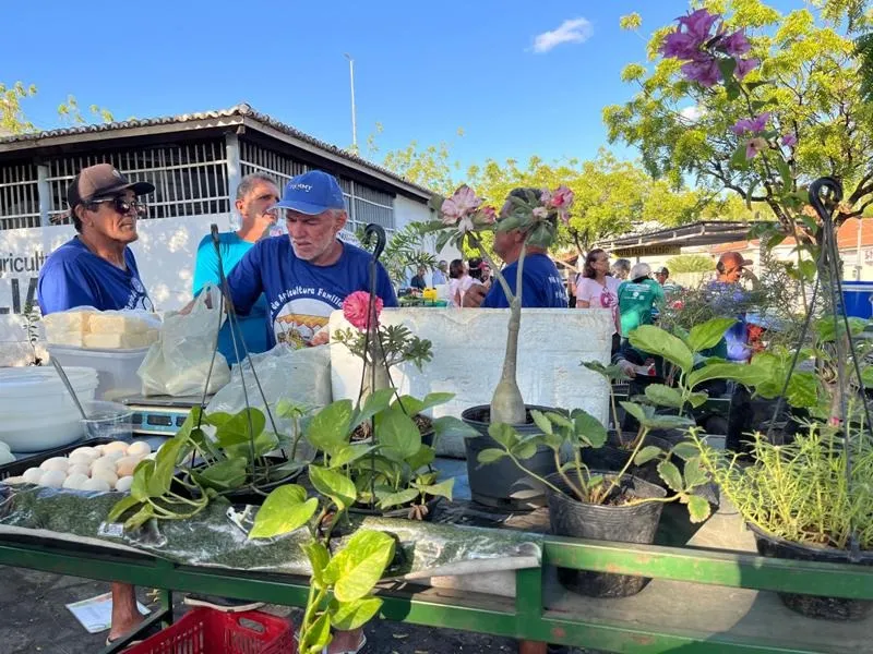 Feira da Agricultura Familiar de Patos celebra 18 anos e recebe Jornada Paraíba Produtiva