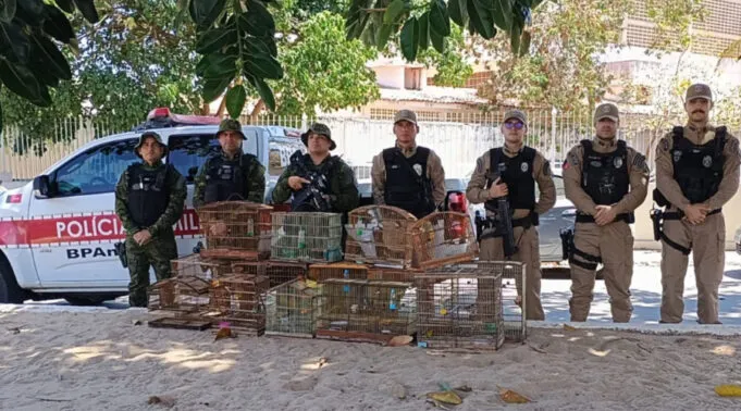Polícia Militar da Paraíba cumpre mandato de prisão contra foragido da Justiça de Pernambuco em Desterro