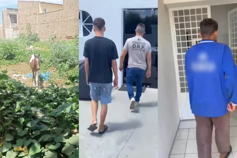 Polícia Civil prende dupla suspeita de furto de animal no bairro São Sebastião, em Patos - Video