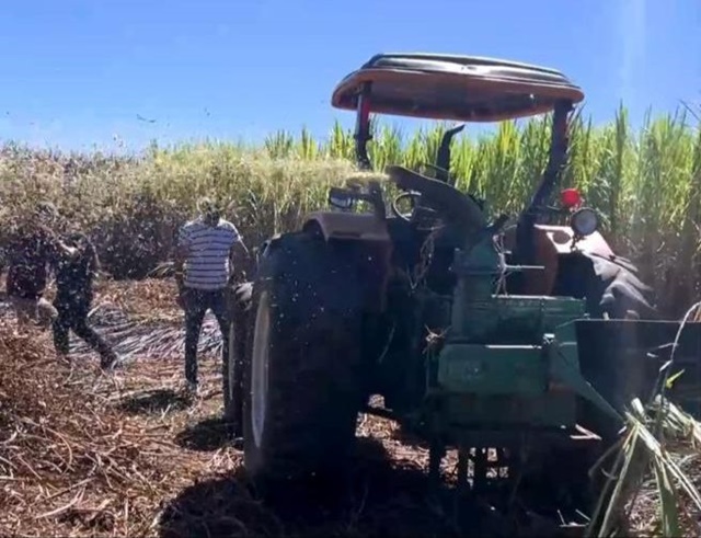 Prefeitura de Patos realiza produção de Silagem para pequenos agricultores 